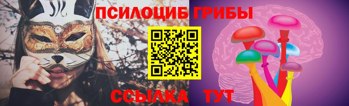 Псилоцибиновые грибы Psilocybe Елабуга